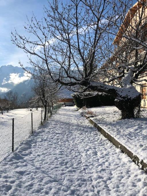 Appartement Rez De Jardin Montee De L'Alpe D'Huez La Garde (Isere) Exterior foto