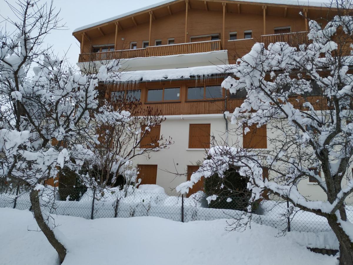 Appartement Rez De Jardin Montee De L'Alpe D'Huez La Garde (Isere) Exterior foto